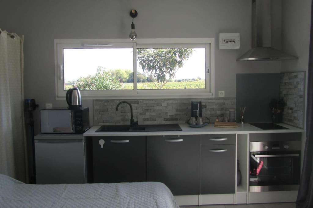 Studio Tout Confort Au Coeur Des Graves Portets Ngoại thất bức ảnh